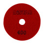 Круги алмазні полірувальні Круг 100x3x15 CleanPad #400